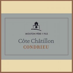 Condrieu Côte Chatillon 2022 - Bottle