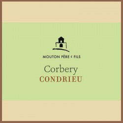 Condrieu Corbery 2023 - Bouteille